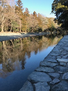 IMG_7349.jpg
