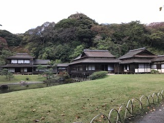 IMG_8635.jpg